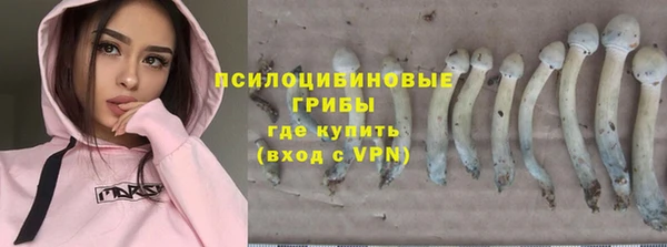 альфа пвп Елизово