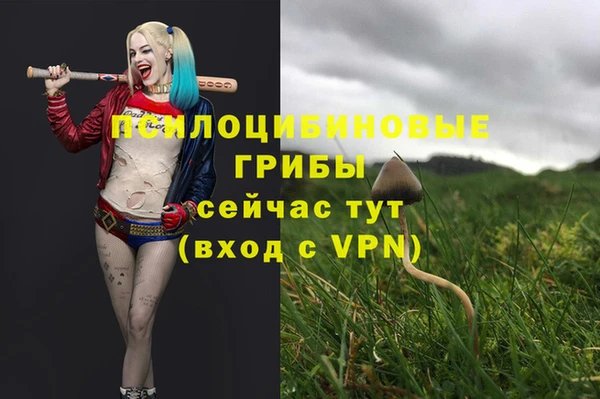 МДМА Куйбышев