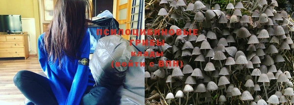 MDMA Premium VHQ Кукмор