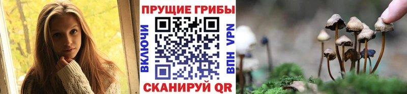 Галлюциногенные грибы ЛСД  мориарти Telegram  Заринск 