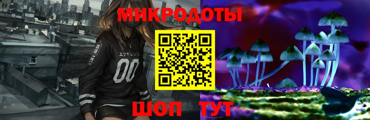 Галлюциногенные грибы Cubensis Заринск